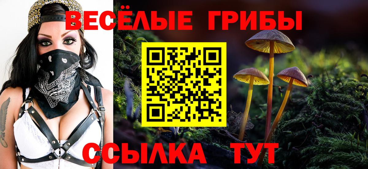 Псилоцибиновые грибы GOLDEN TEACHER Светлоград