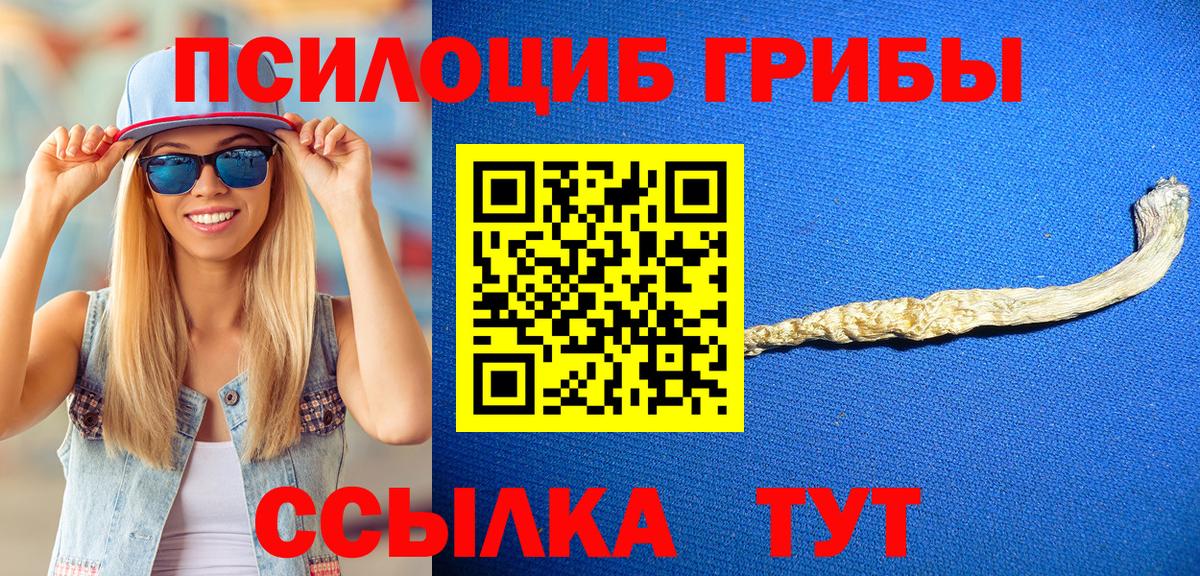 Светлоград  Псилоцибиновые грибы мицелий  Вход с VPN  Галлюциногенные грибы мухоморы 