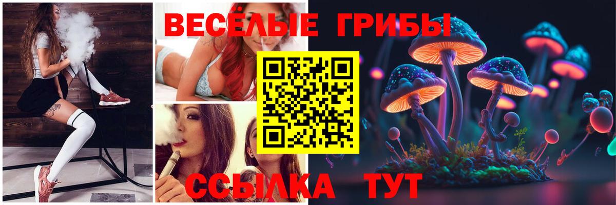 Галлюциногенные грибы мицелий  Псилоцибиновые грибы MAGIC MUSHROOMS  Светлоград 